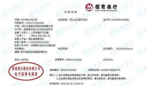 解放軍 醫(yī)療工作隊(duì) 央企互聯(lián)網(wǎng)企業(yè) 武漢,我們來了