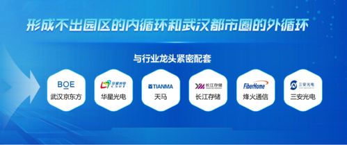 光電子信息產(chǎn)業(yè)強(qiáng)勢崛起,黃石為什么能